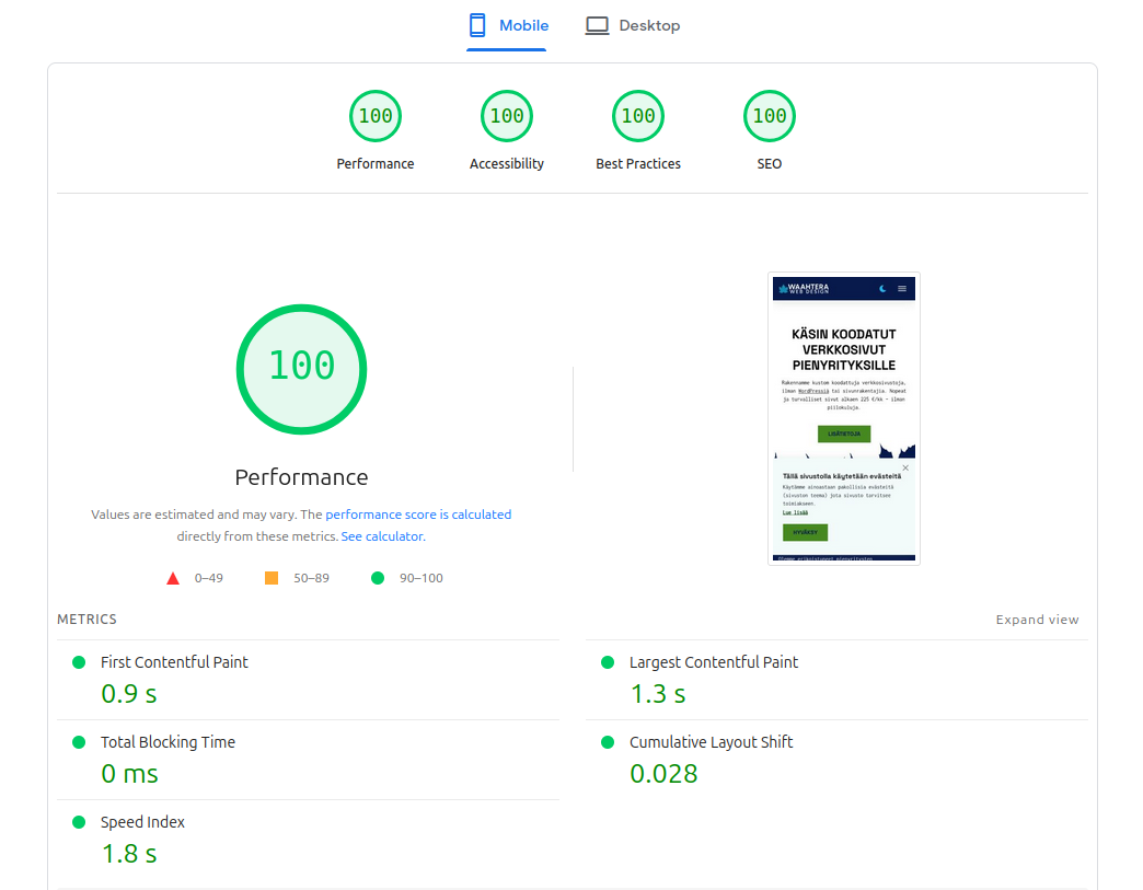 Kuvakaappaus jossa erinomainen Google pagespeed pisteytys